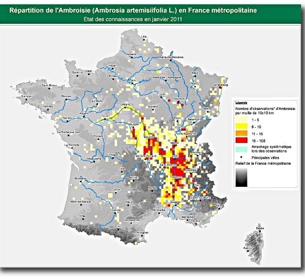 ambroisie-carte_de_france_620