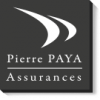 pierre paya logo