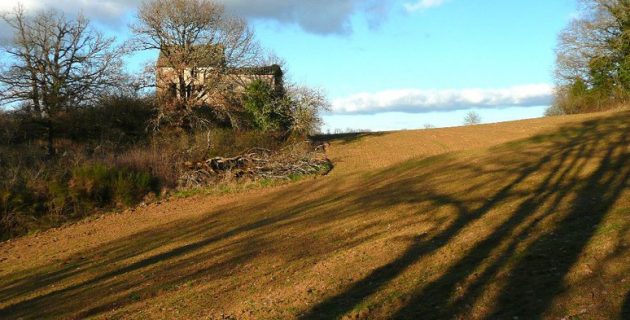 comment protéger une maison sur un terrain isolé